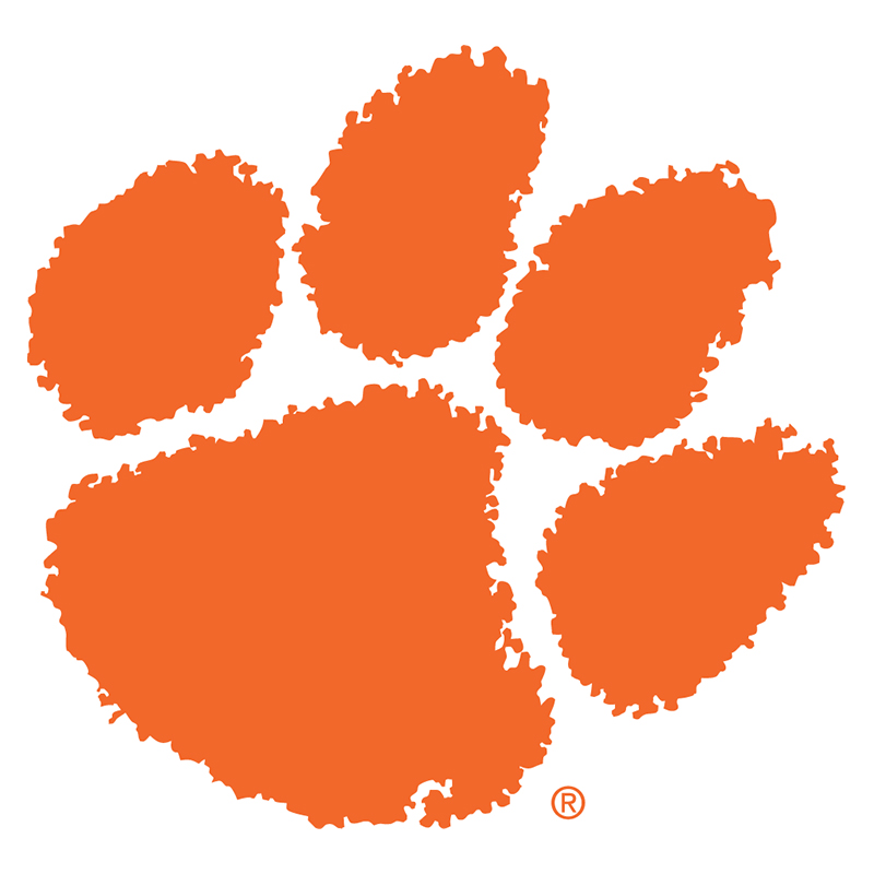 Clemson Tigers iron ons